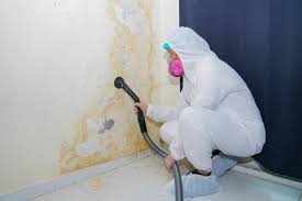 Best Mold Odor Removal Services  in Long View, NC